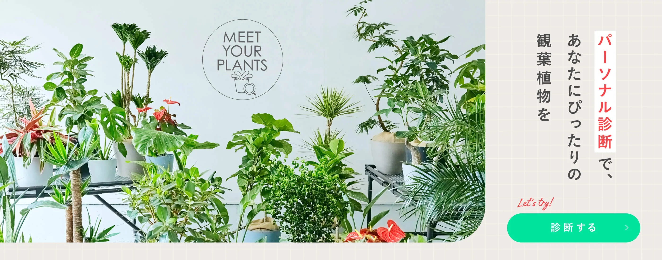 植物のパーソナル診断