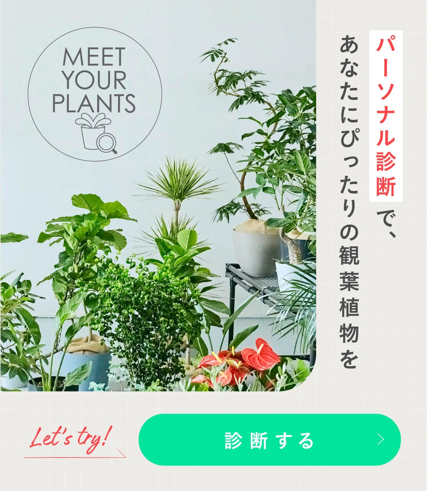 植物のパーソナル診断